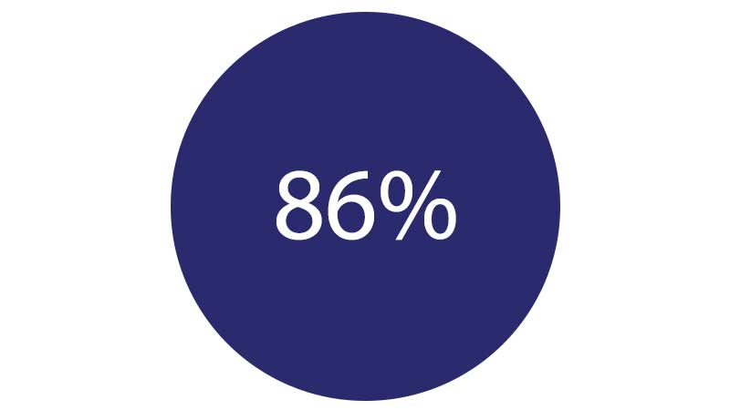 devweb-86-percent-800x450 devweb-86-percent-800x450
