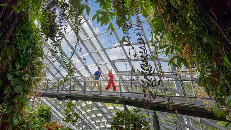 Gambar pasangan yang sedang menjelajahi pemandangn alam di Garden by The bay reservasi bisa dilakukan dan temasuk biaya liburan ke Singapura